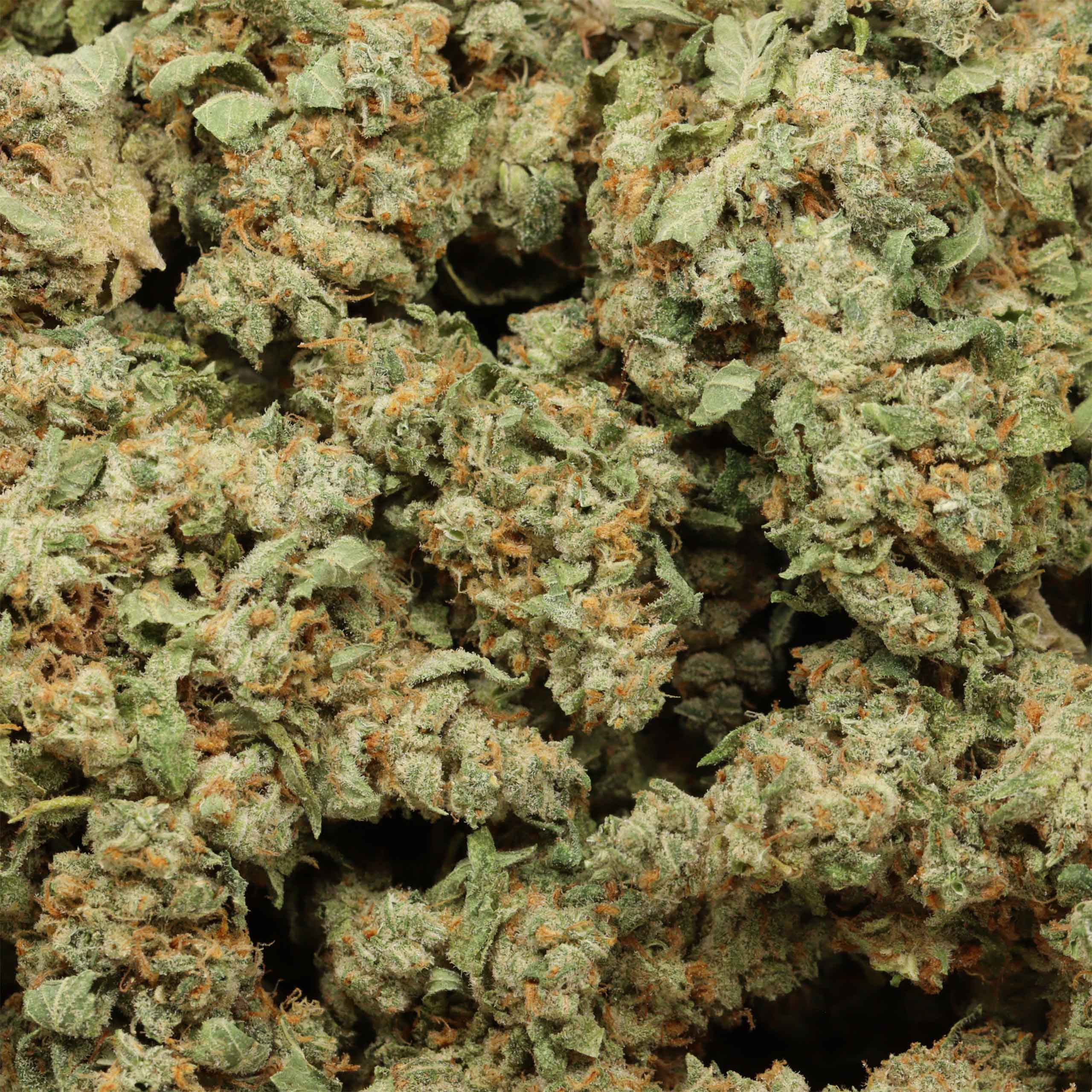 Cherry Kush cannabis wholesale