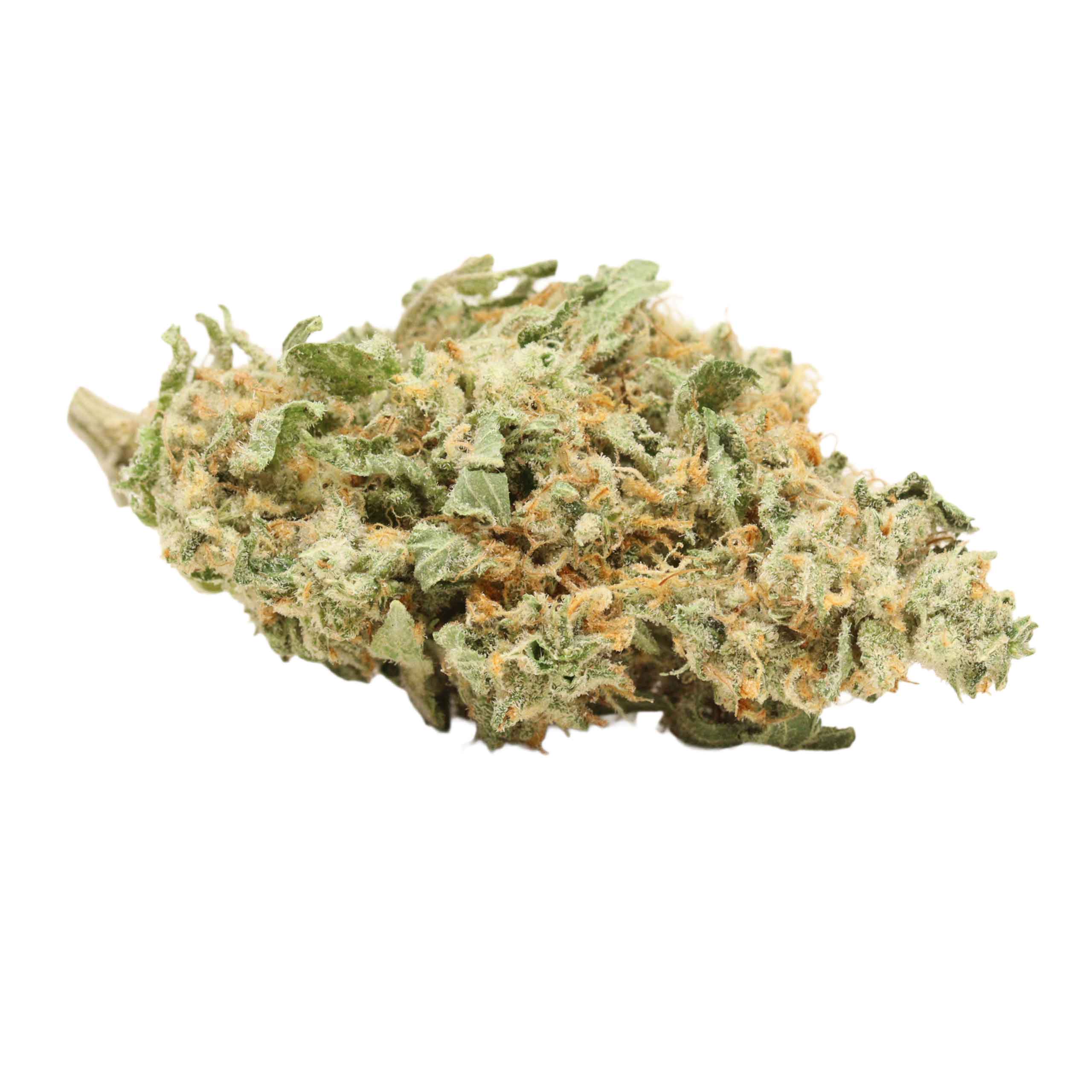 Cherry Kush weed cannabis