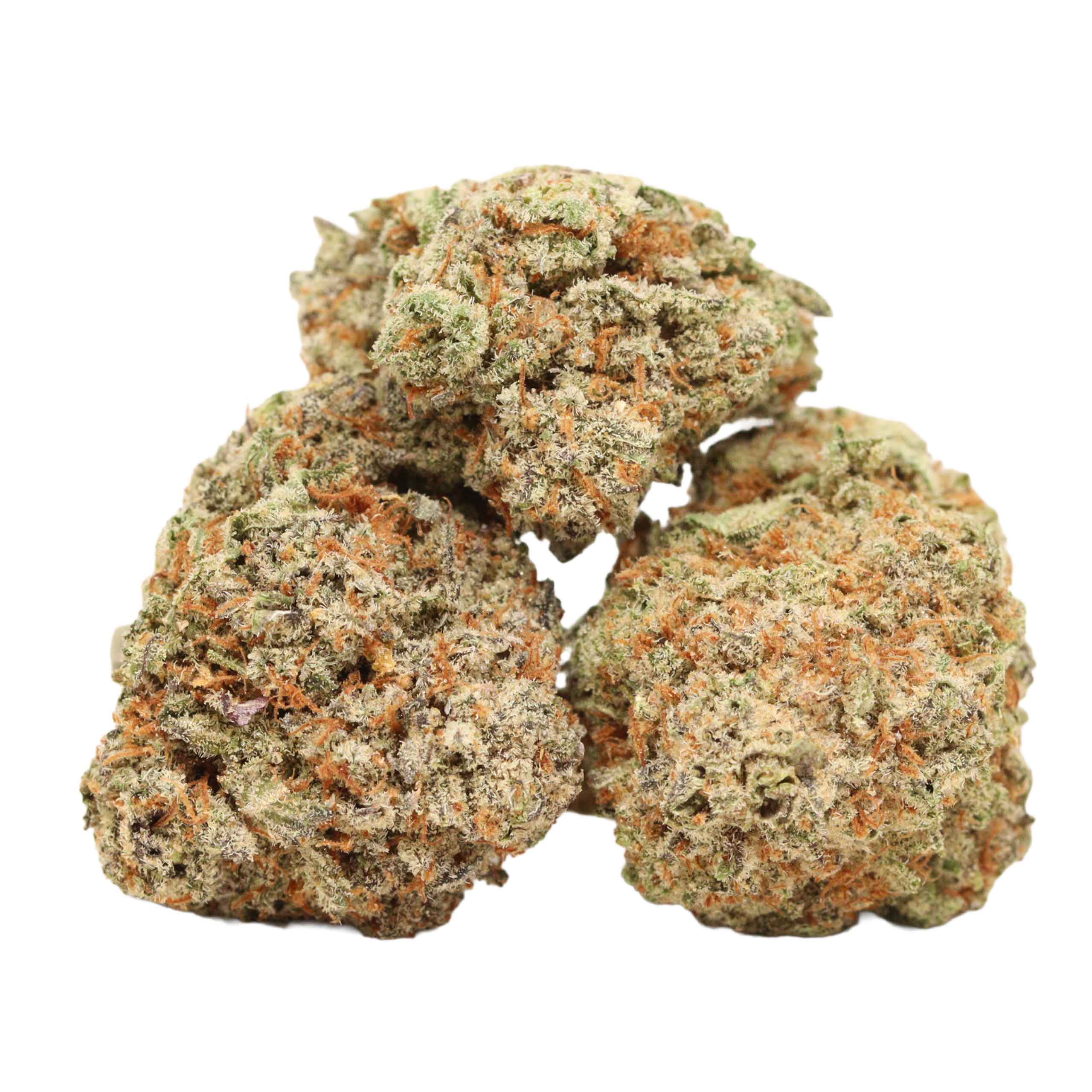 Chocolate Thunder strain cannabis