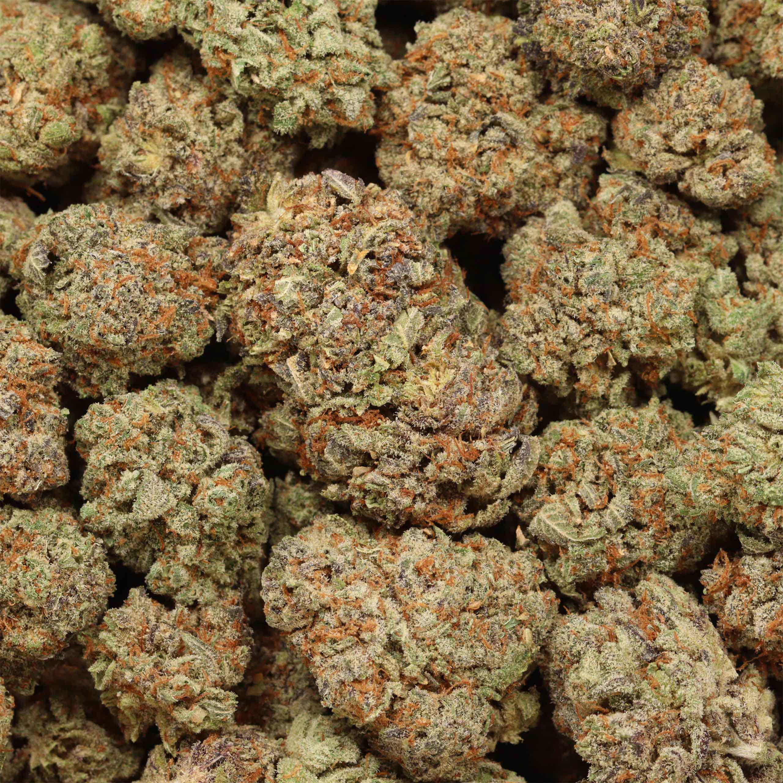 Chocolate Thunder cannabis wholesale