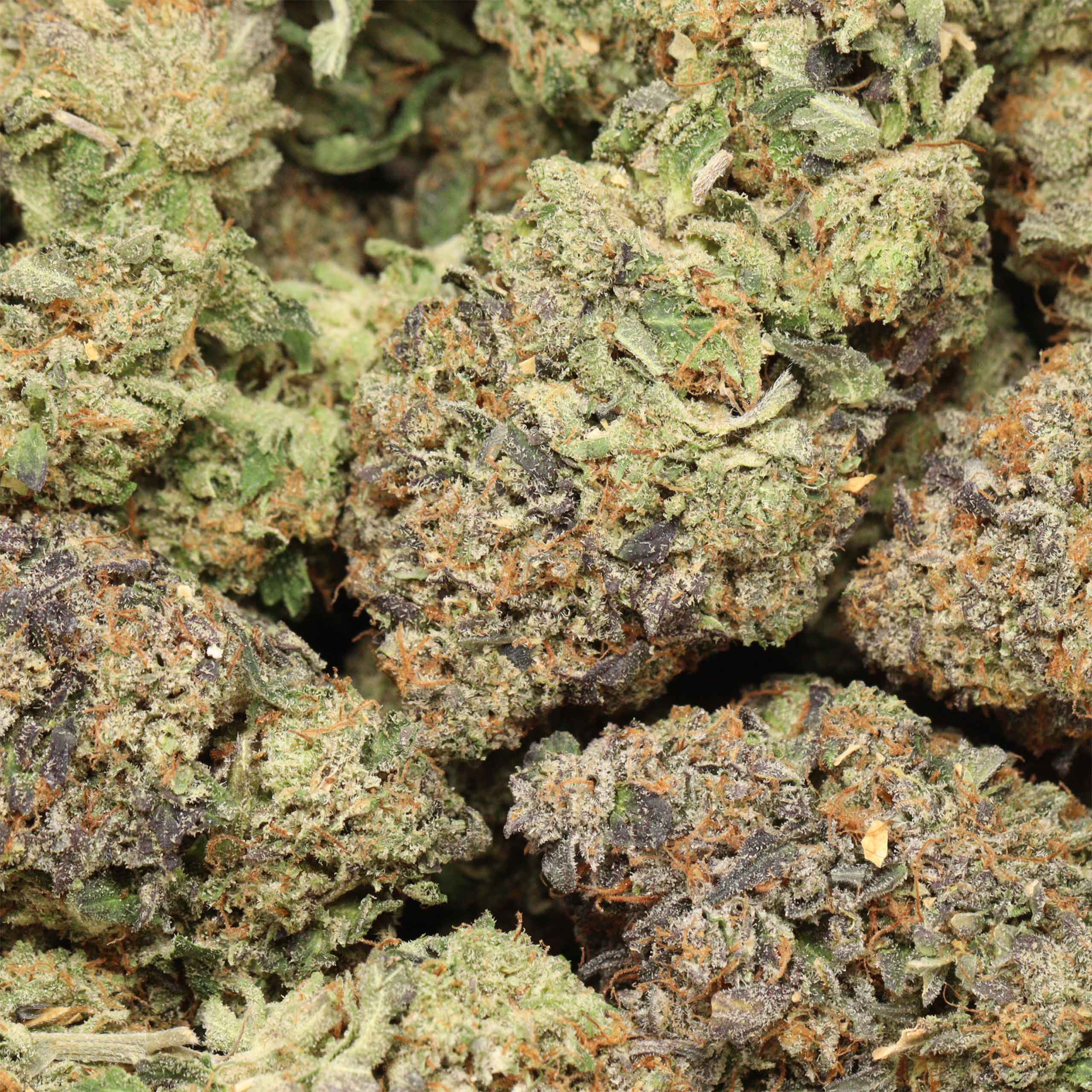 Dior Death Bubba cannabis wholesale