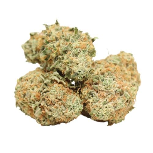 Gelato strain cannabis