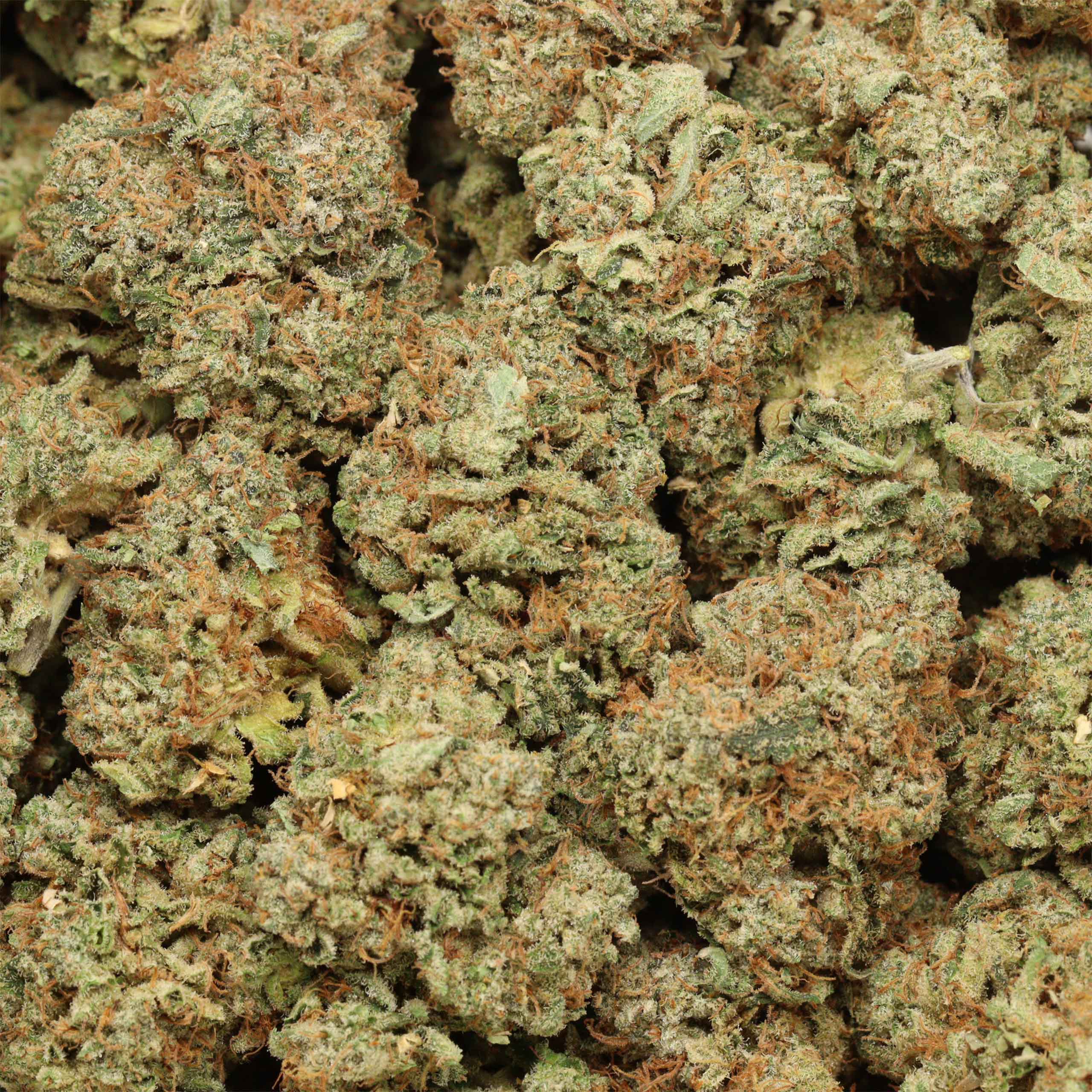 God's Green Crack cannabis