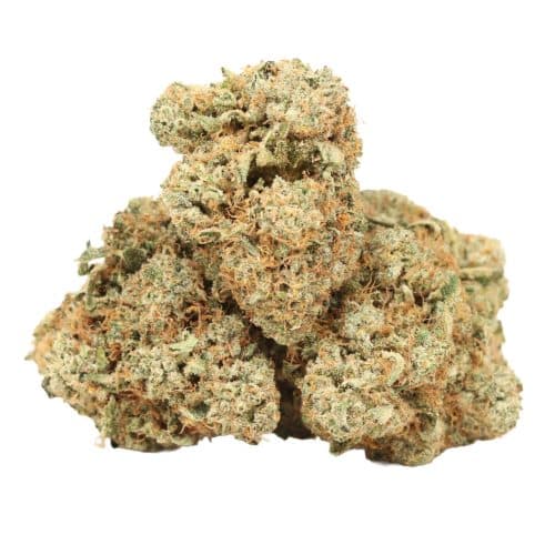 God's Green Crack strain cannabis