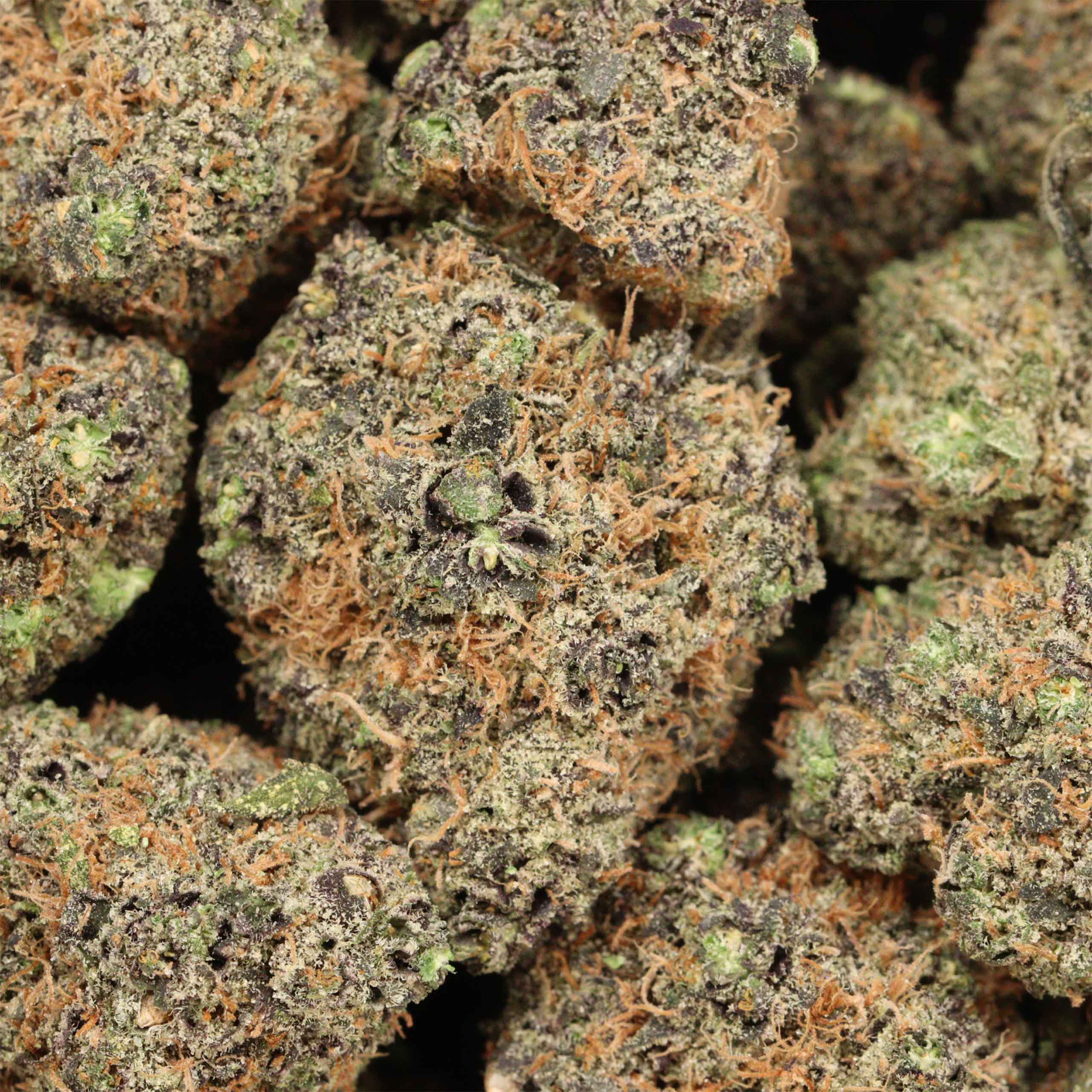 Grape Cake craft cannabis wholesale