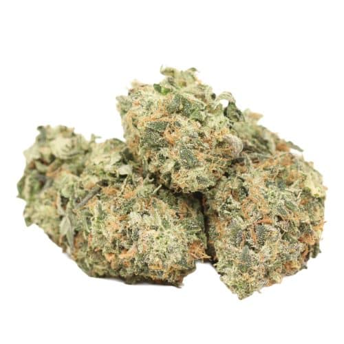 Khalifa Kush strain cannabis