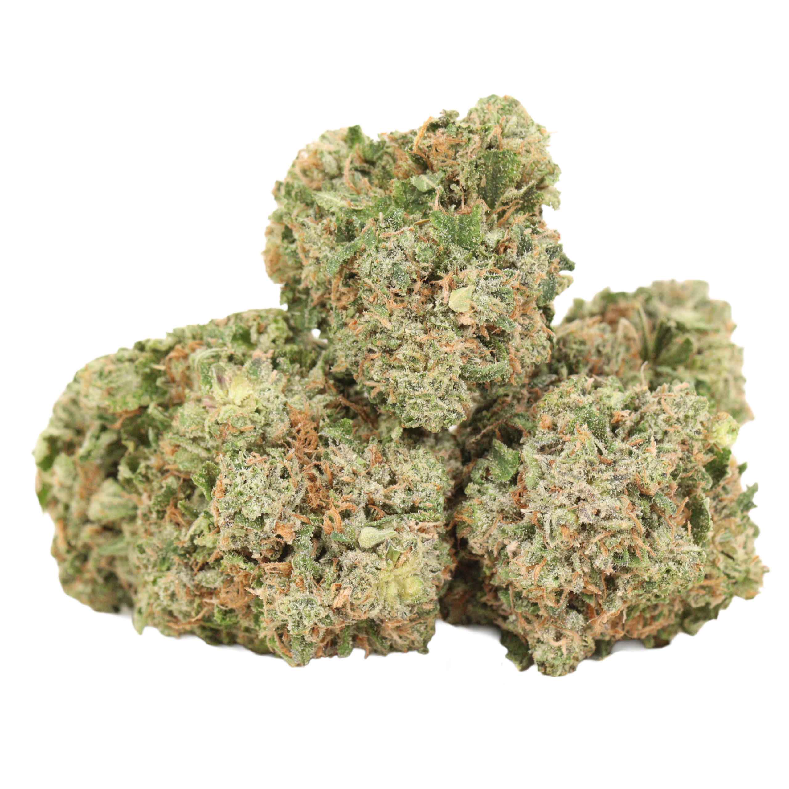 King Louis XIII strain cannabis