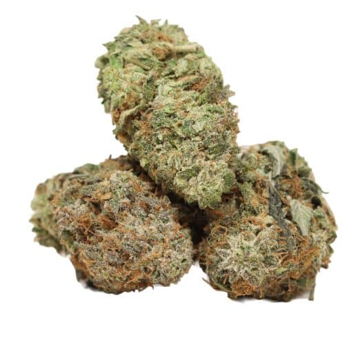 Larry OG strain cannabis