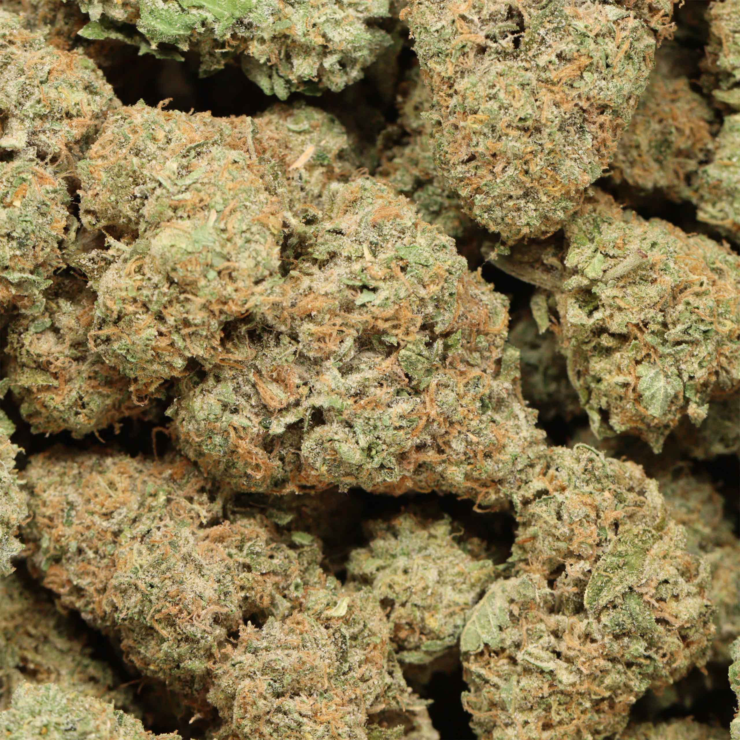 Layer Cake cannabis wholesale