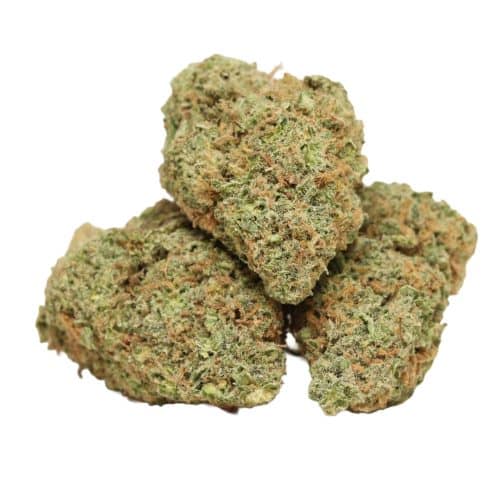 Lemon Kush strain cannabis