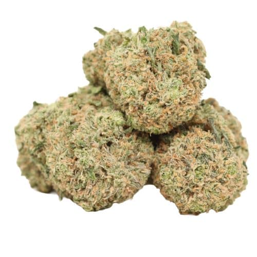 Mimosa strain cannabis