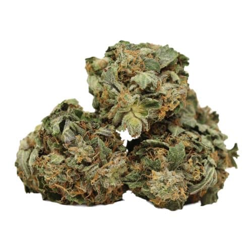 MK Ultra strain cannabis