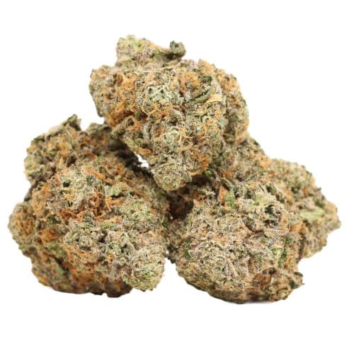 Northern Lights strain cannabis