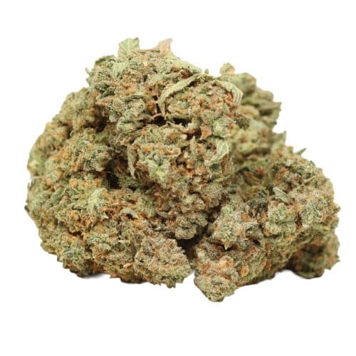 OG Dog strain cannabis