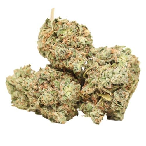 Pink Death strain cannabis