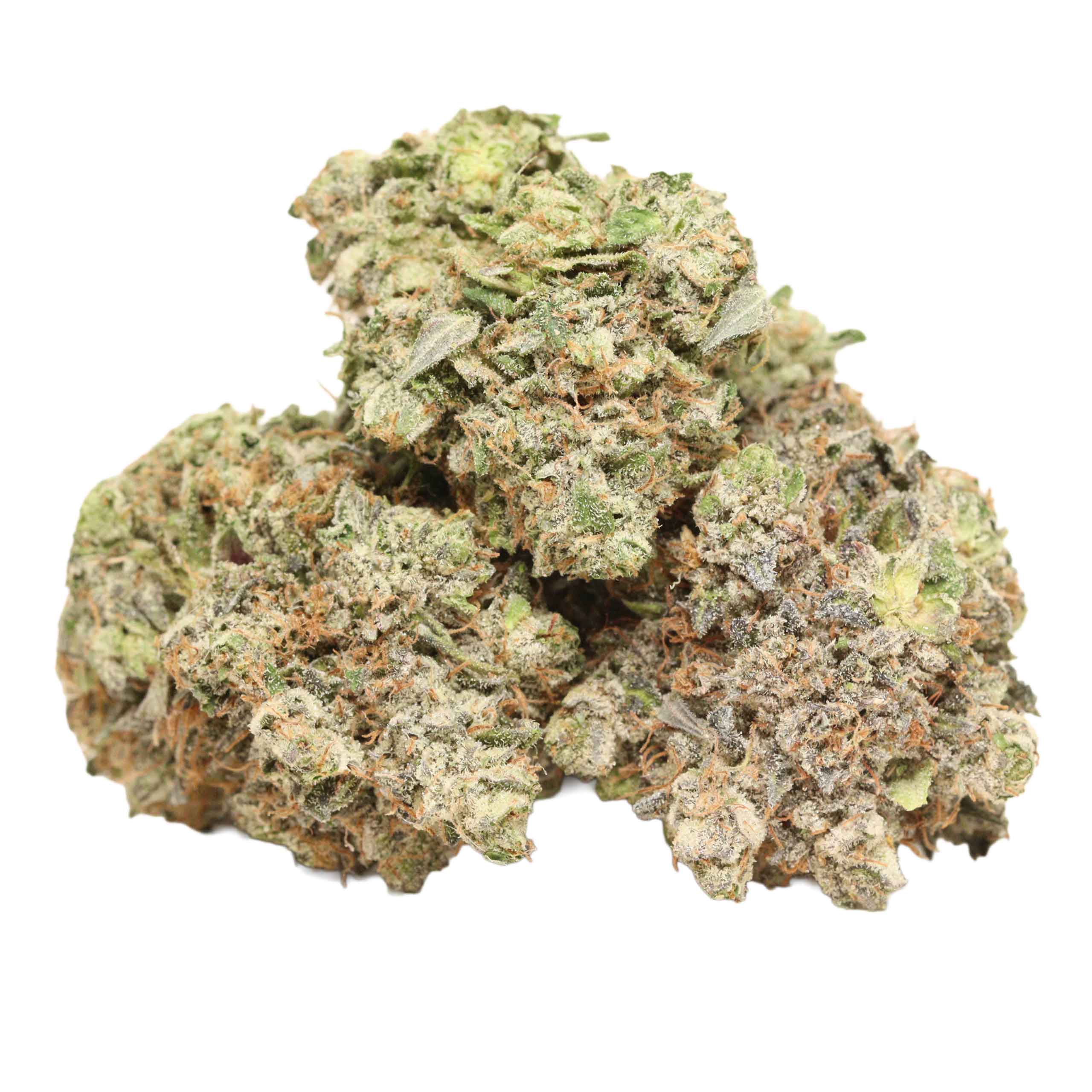 Pink Kush strain cannabis