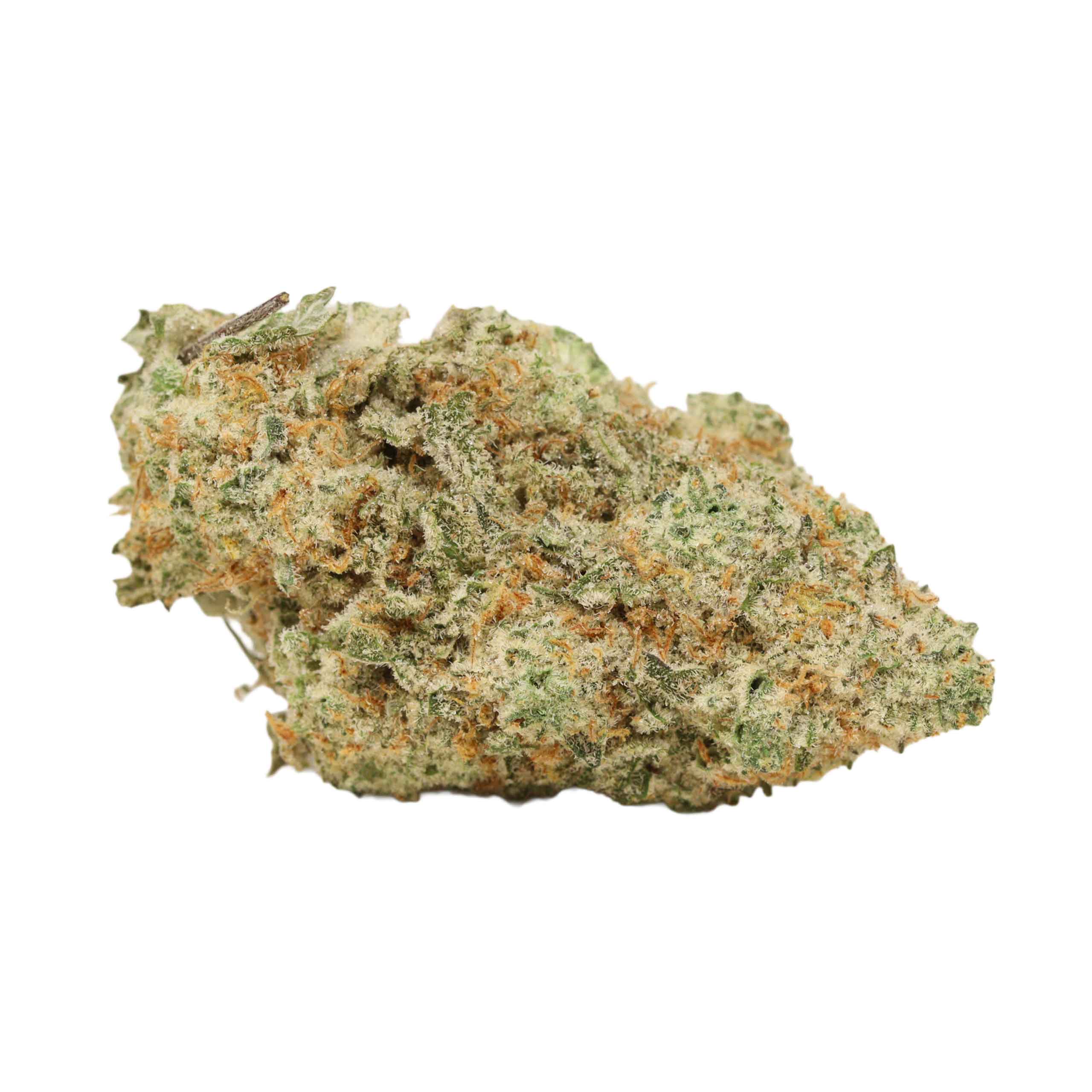 Quantum Kush weed cannabis