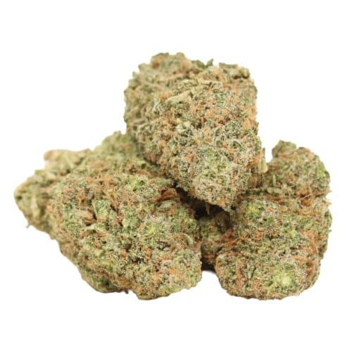 Sour Diesel strain cannabis