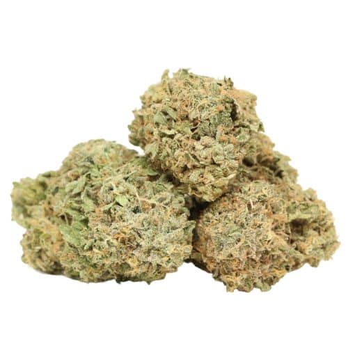 Sundae Float strain cannabis