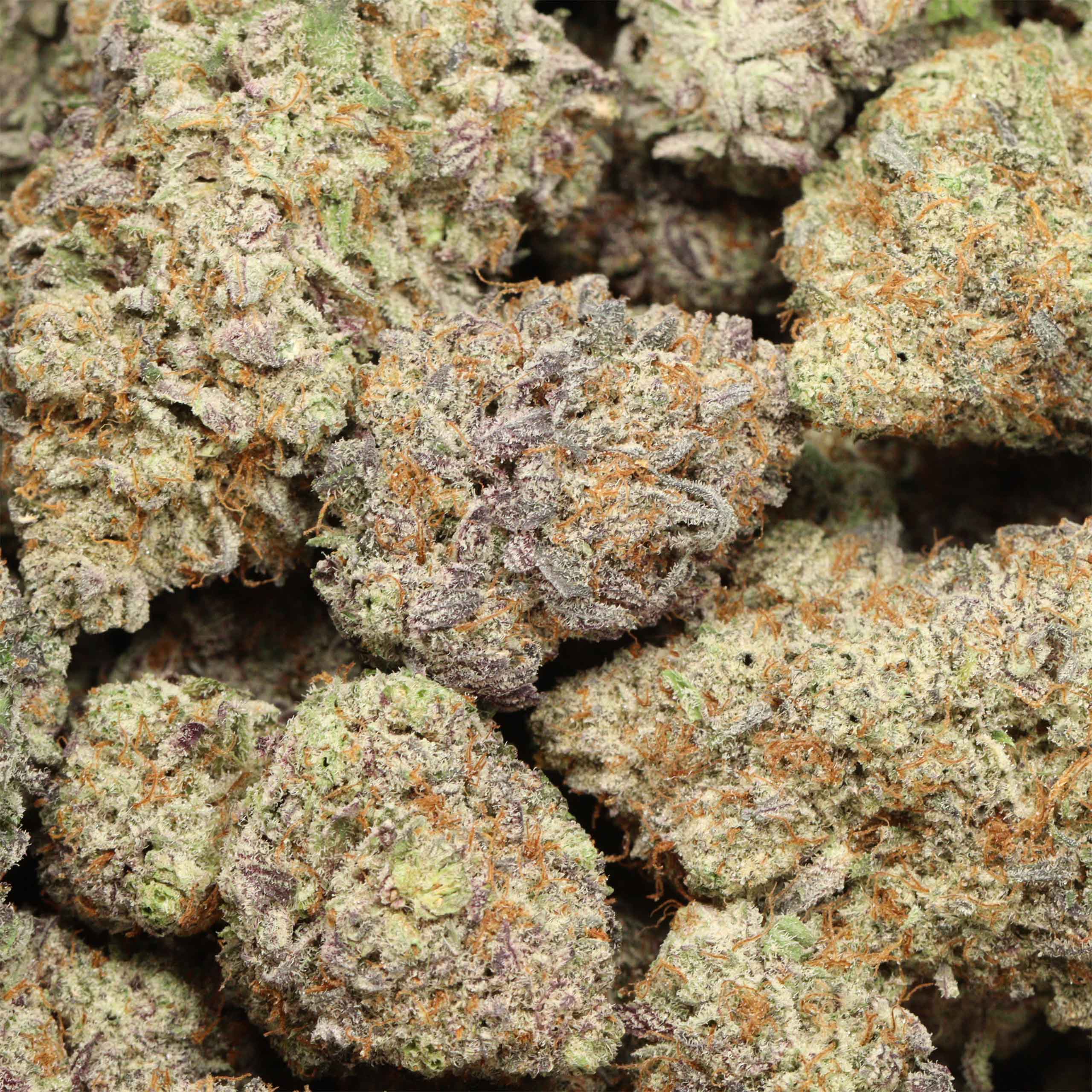 Super Jet Fuel craft cannabis wholesale