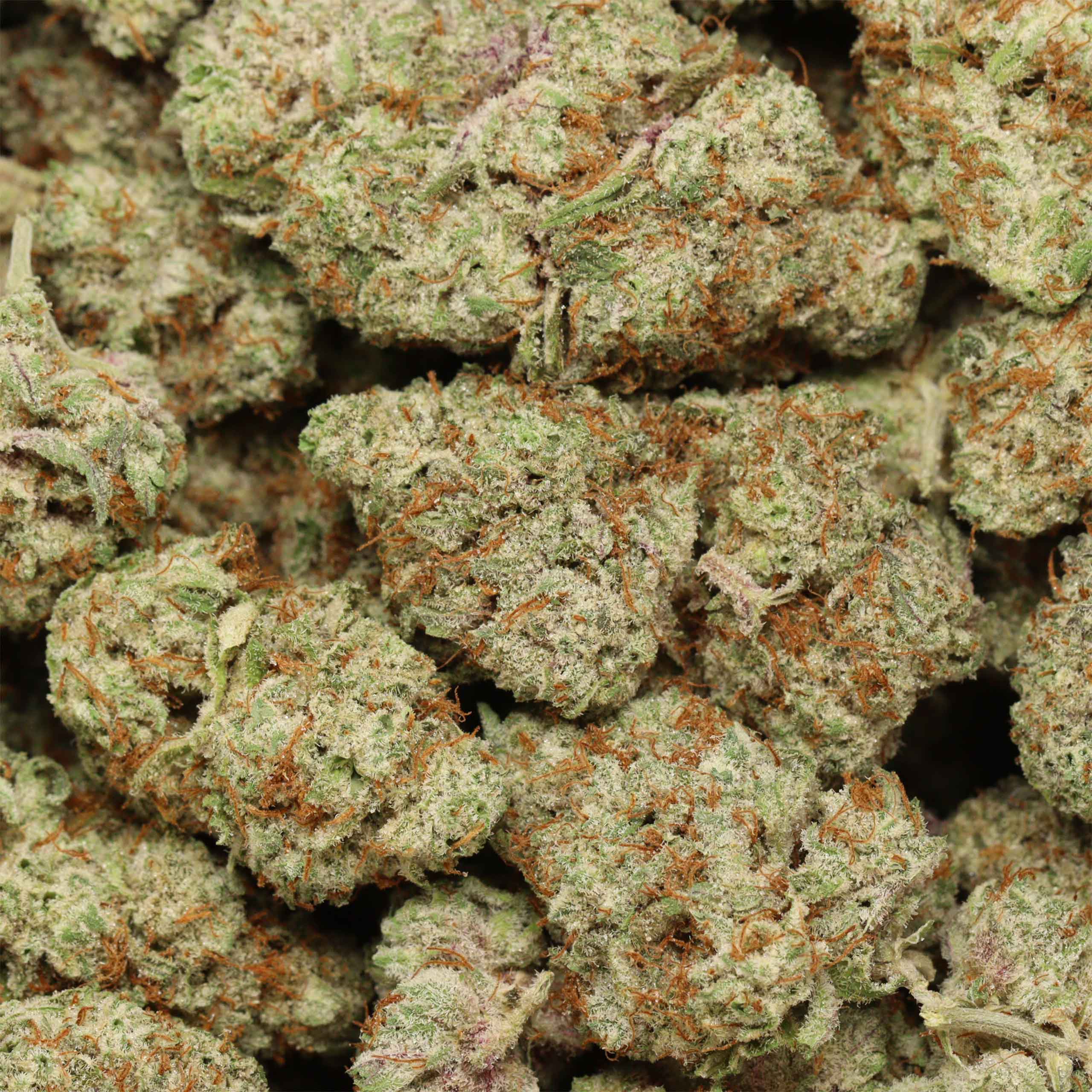 Tropicana Jet Fuel cannnabis