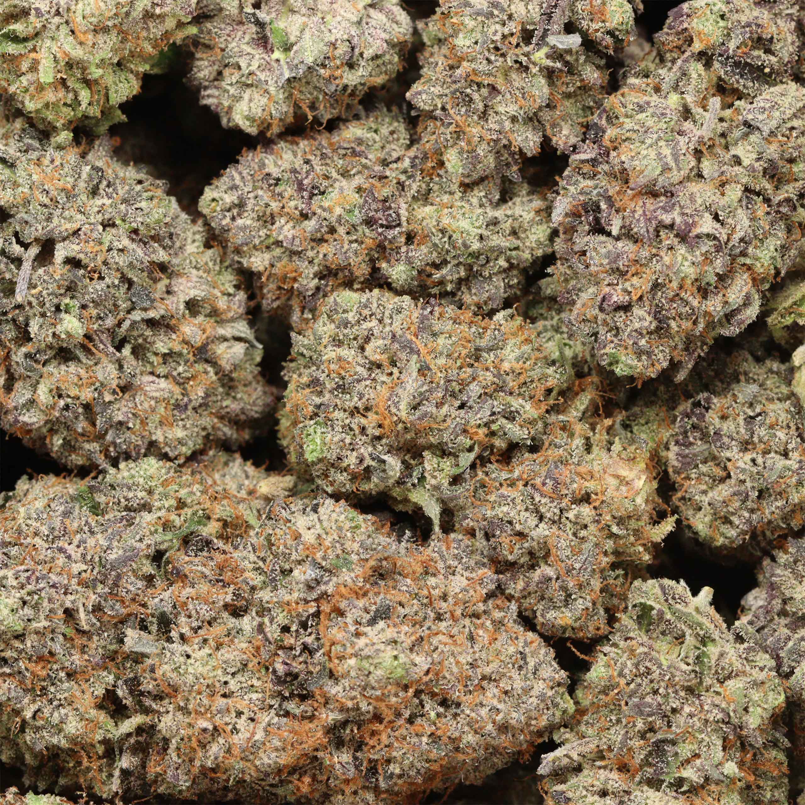 Tuna Kush craft cannabis wholesale