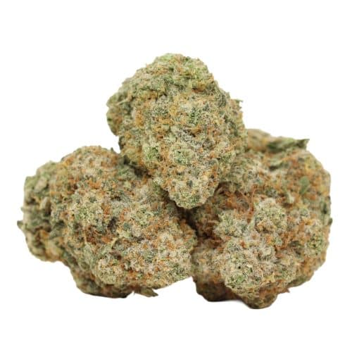 Ultra Banana strain cannabis