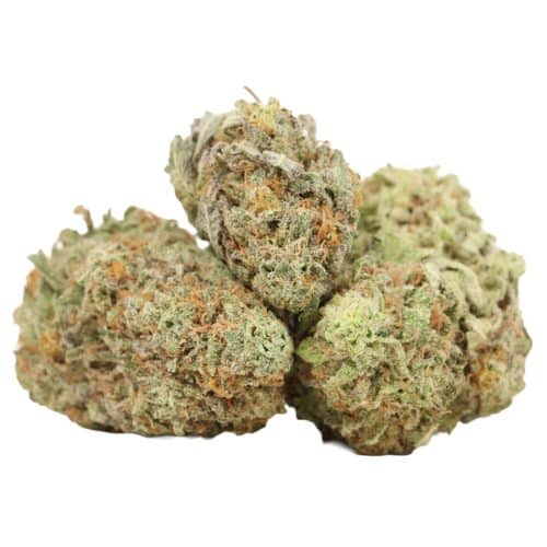 White Widow strain cannabis