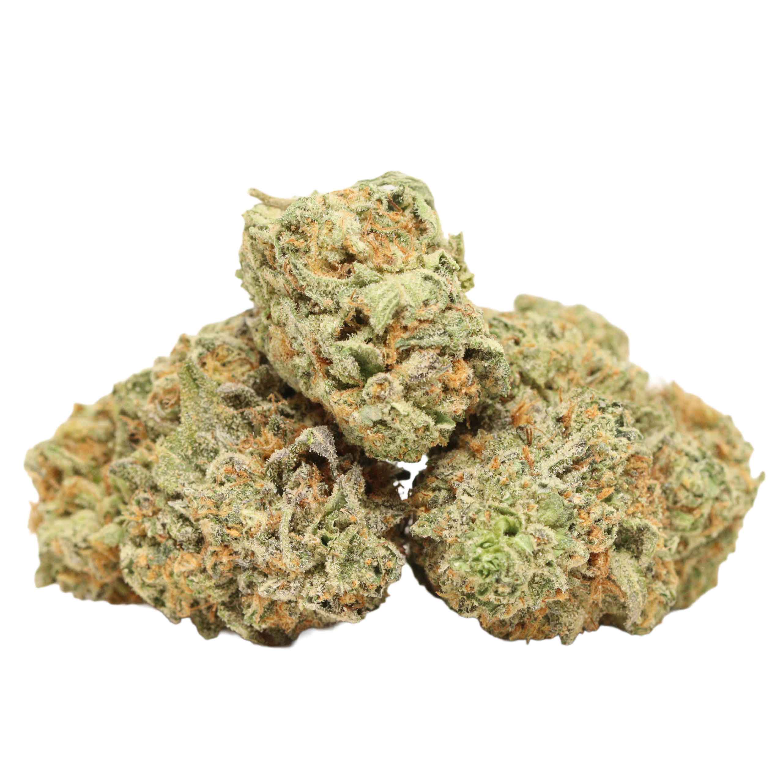 Black Fin Tuna strain cannabis