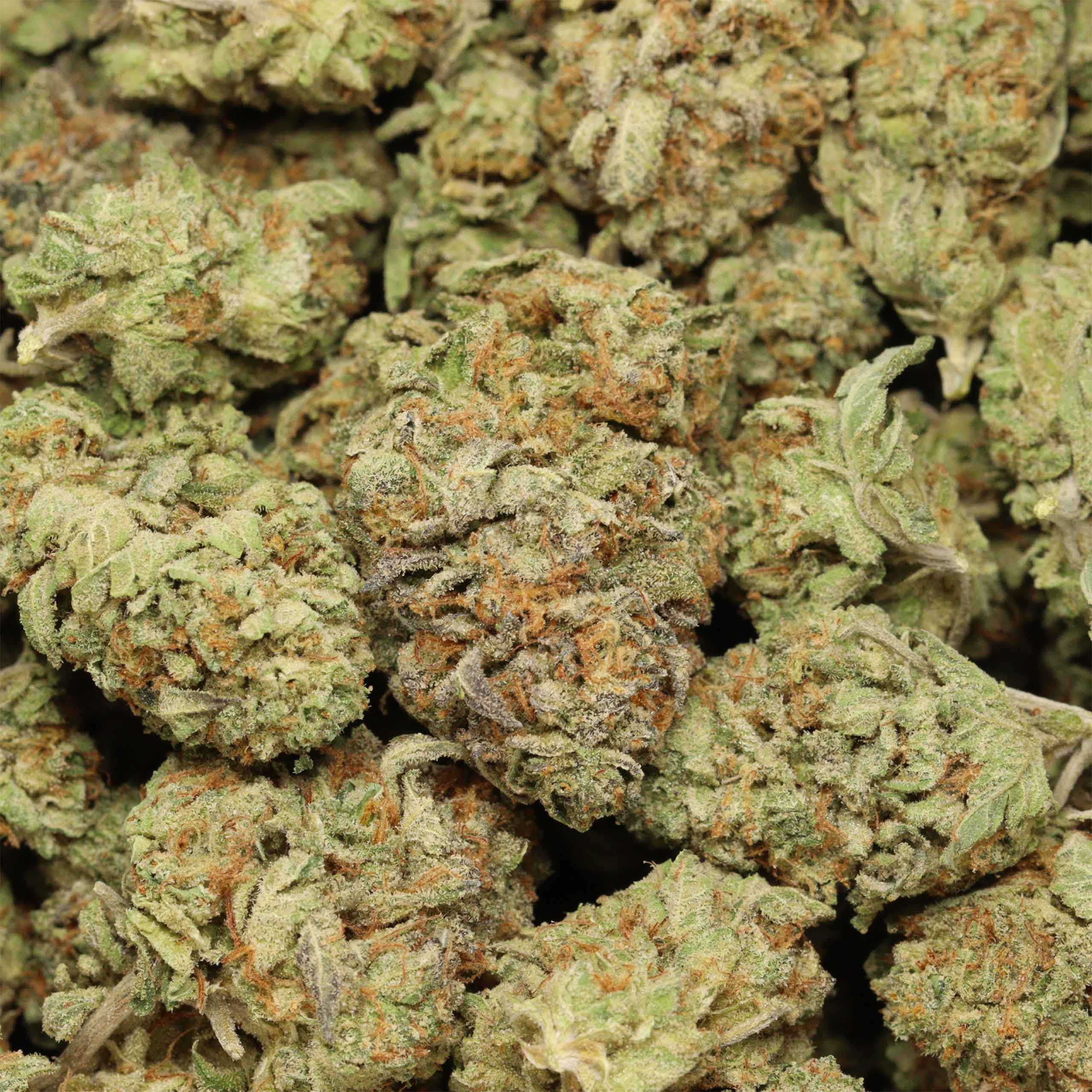 Black Fin Tuna cannabis wholesale