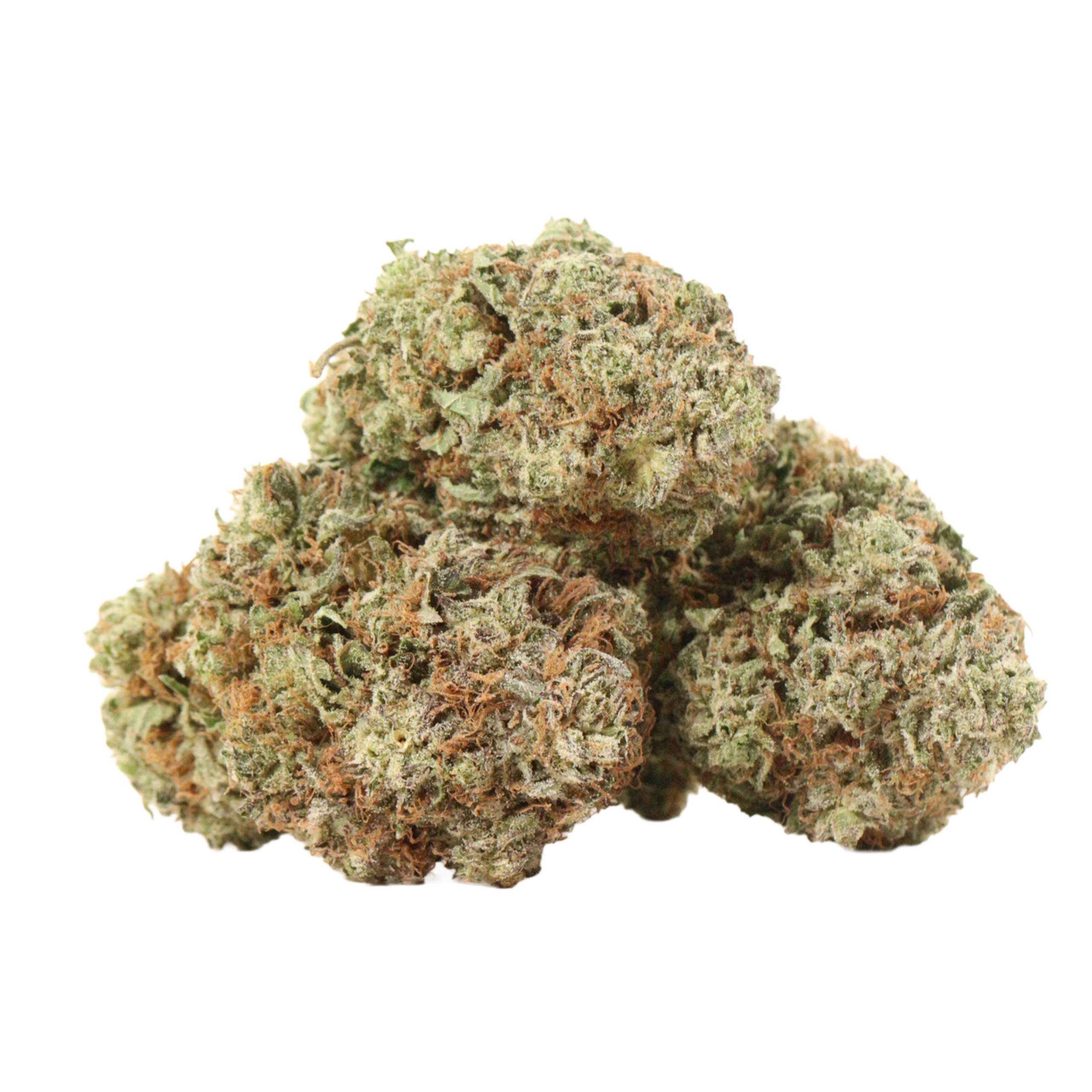 Black Widow strain cannabis