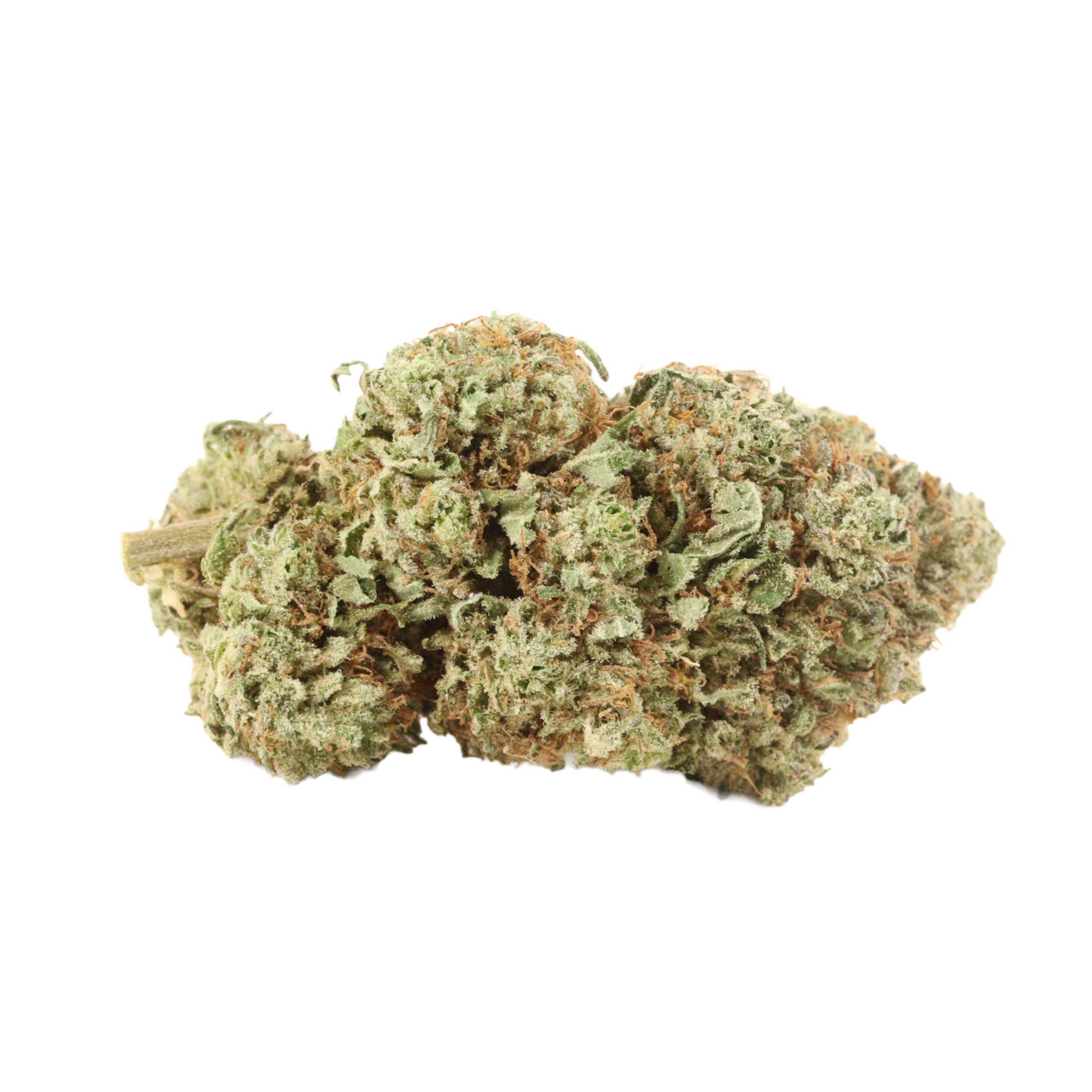 Black Widow weed cannabis