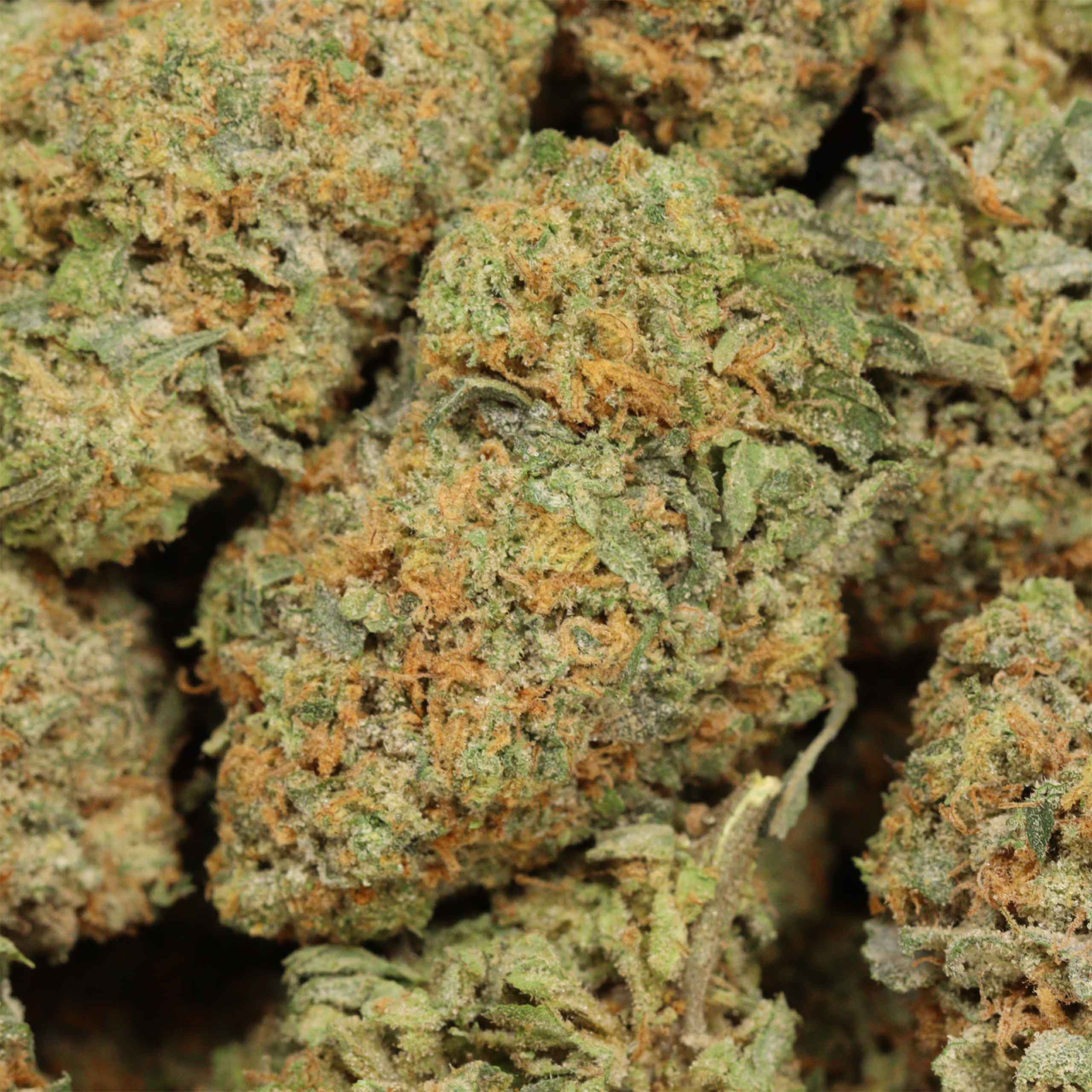 Blueberry Cheesecake cannabis wholesale