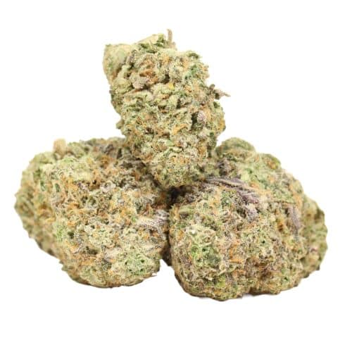 Girl Scout Cookies strain cannabis