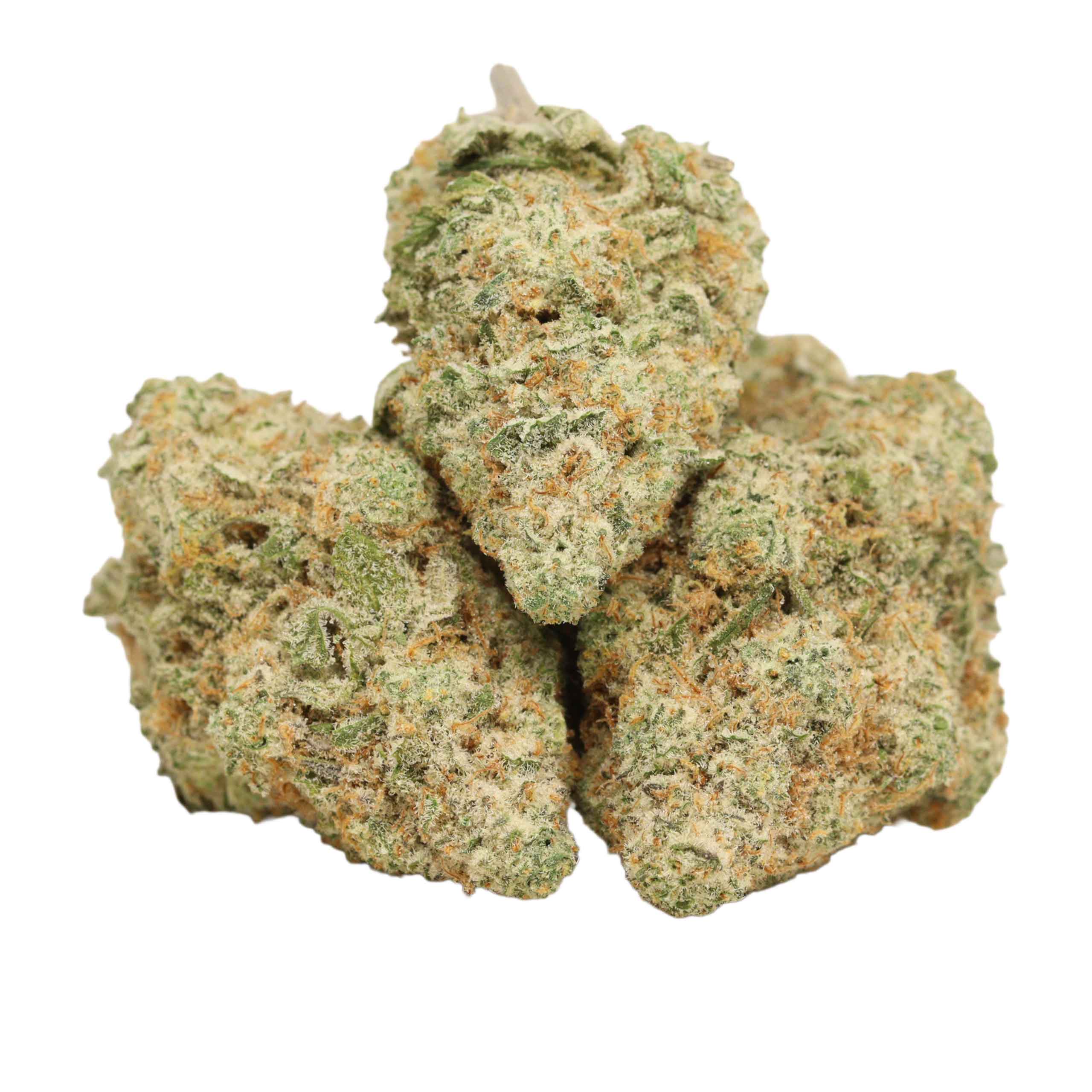 Quantum Kush strain cannabis