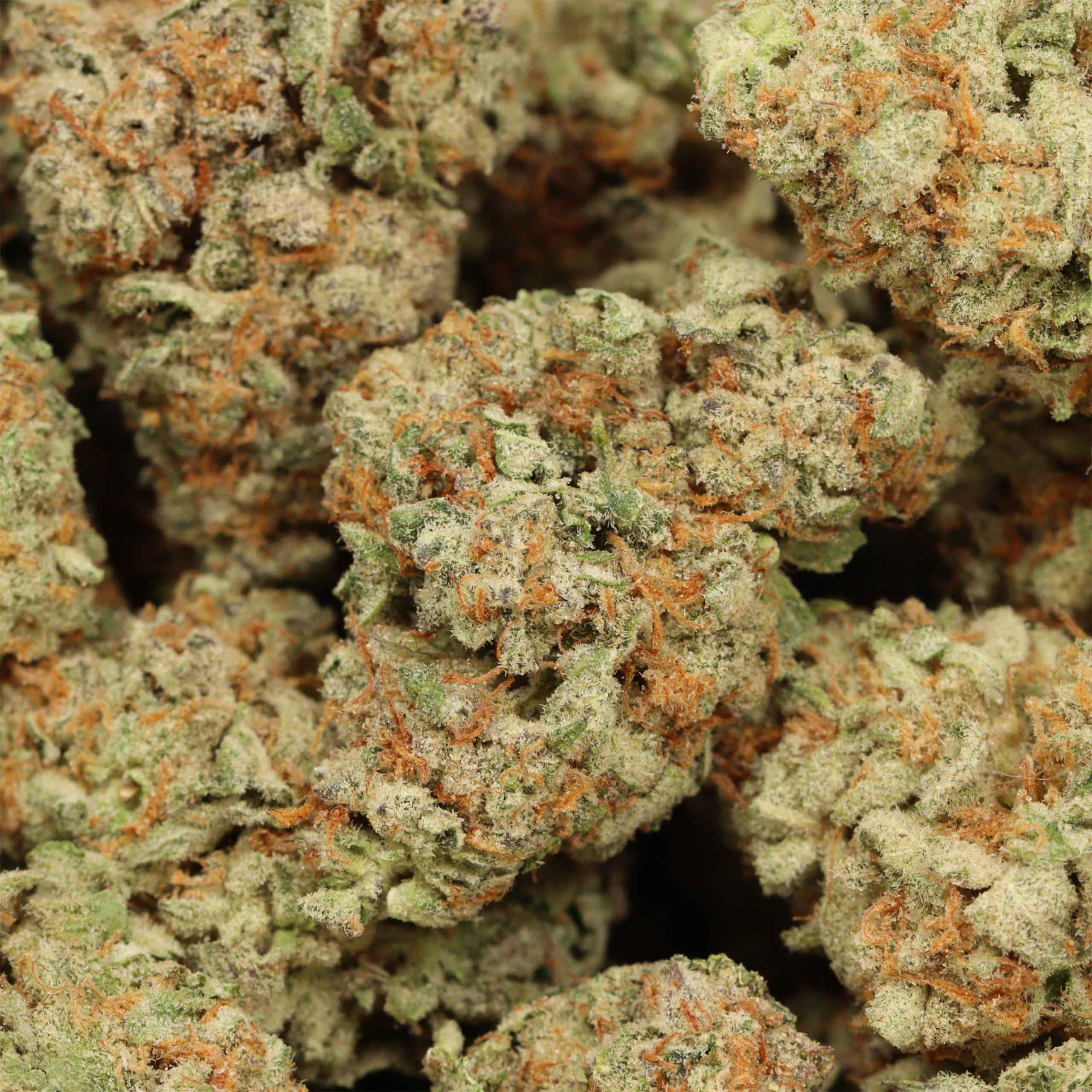 starburst cannabis wholesale