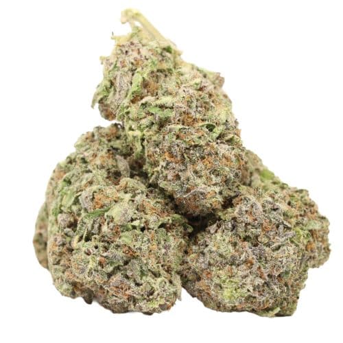 Four Star General strain cannabis