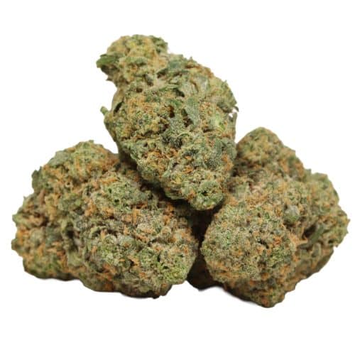 94 Monkey strain cannabis