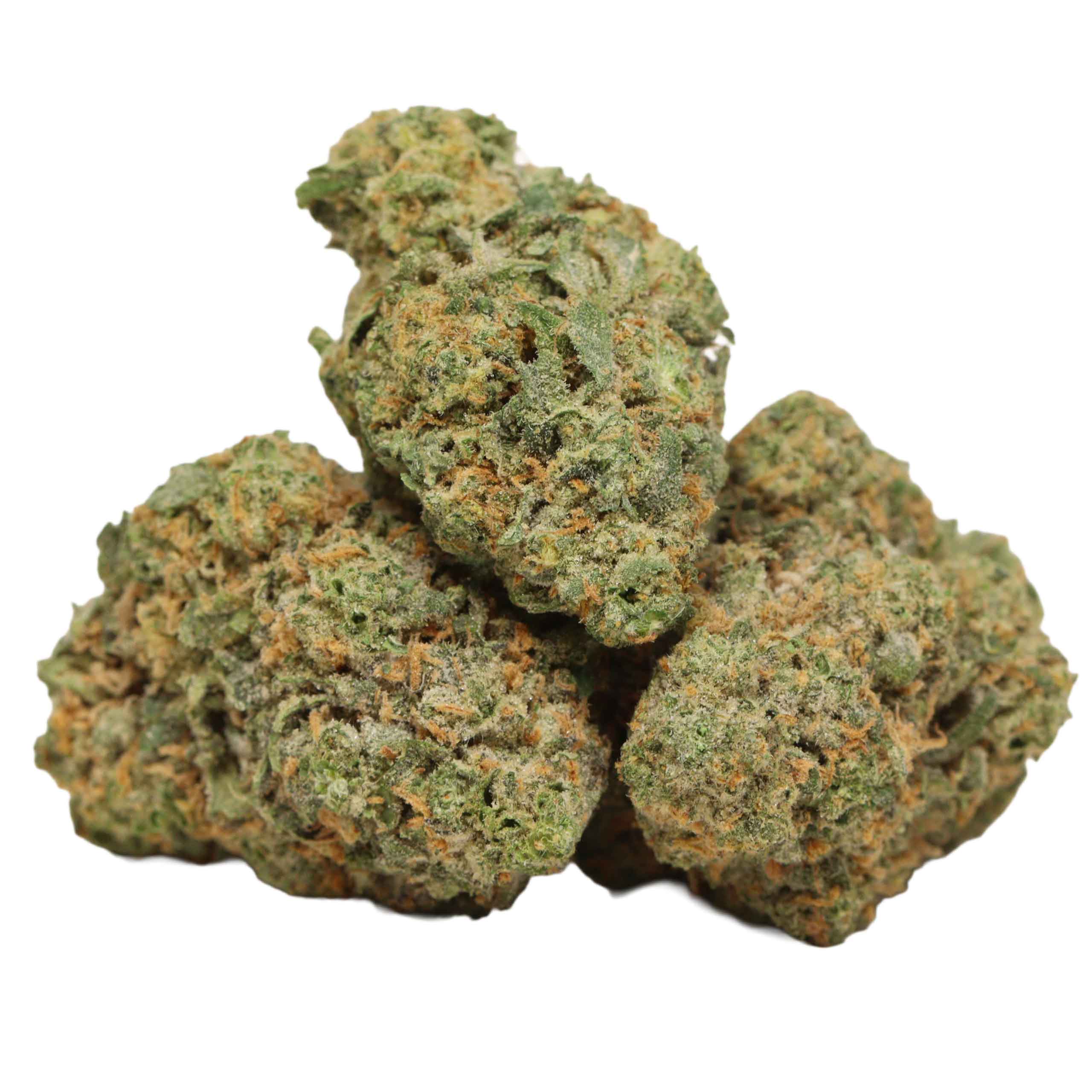 94 Monkey strain cannabis