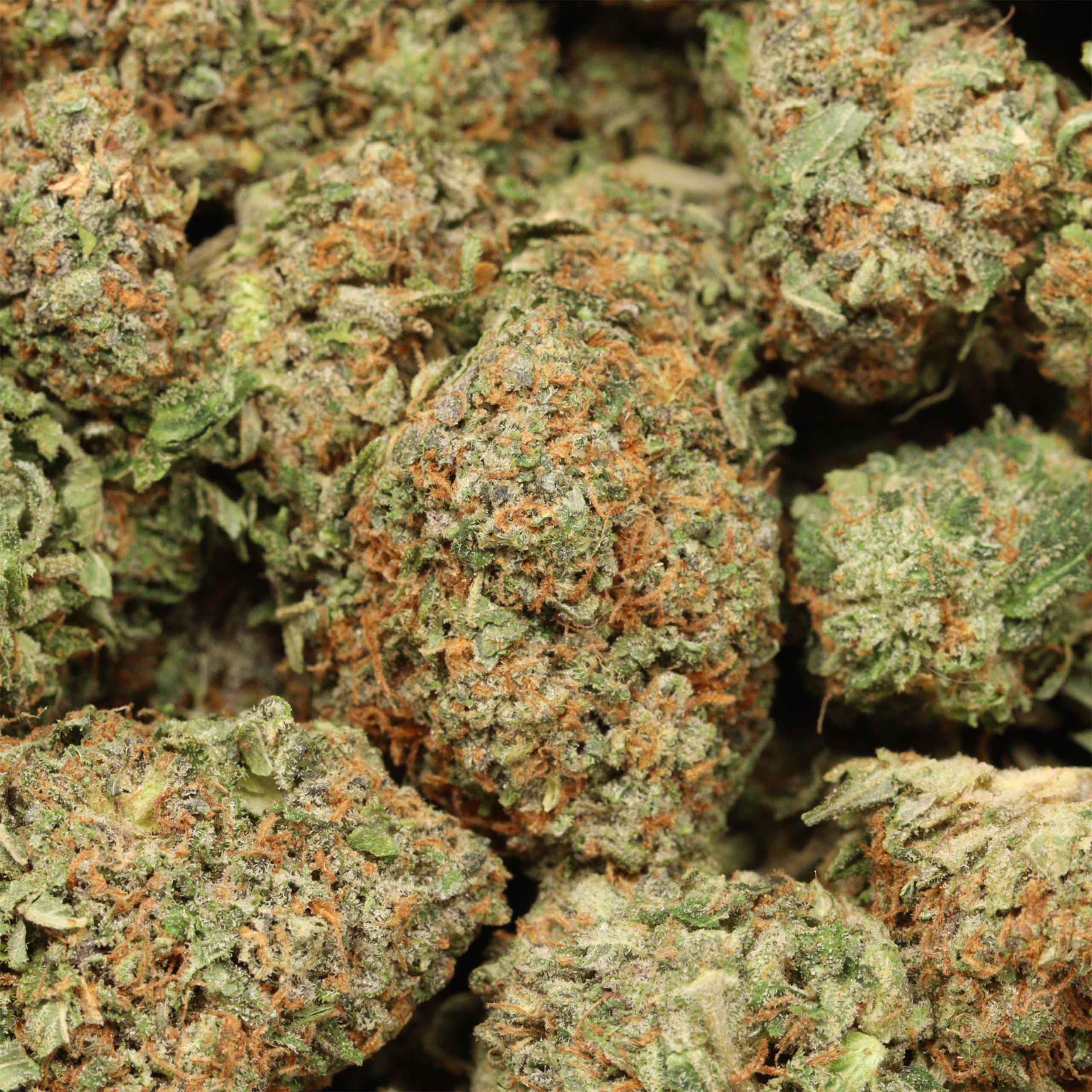 94 Octane cannabis wholesale