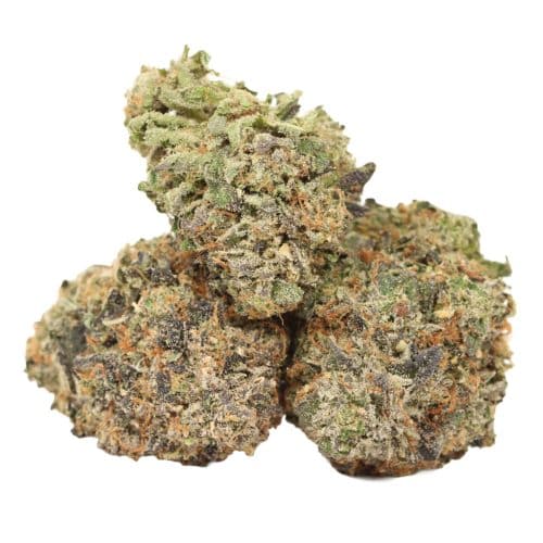 Ahi Tuna Kush strain cannabis