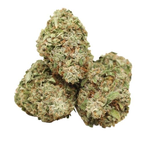 Astro Pink Kush strain cannabis