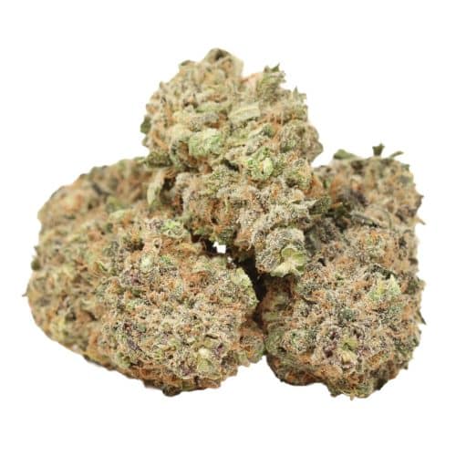 Atomic Blueberry strain cannabis