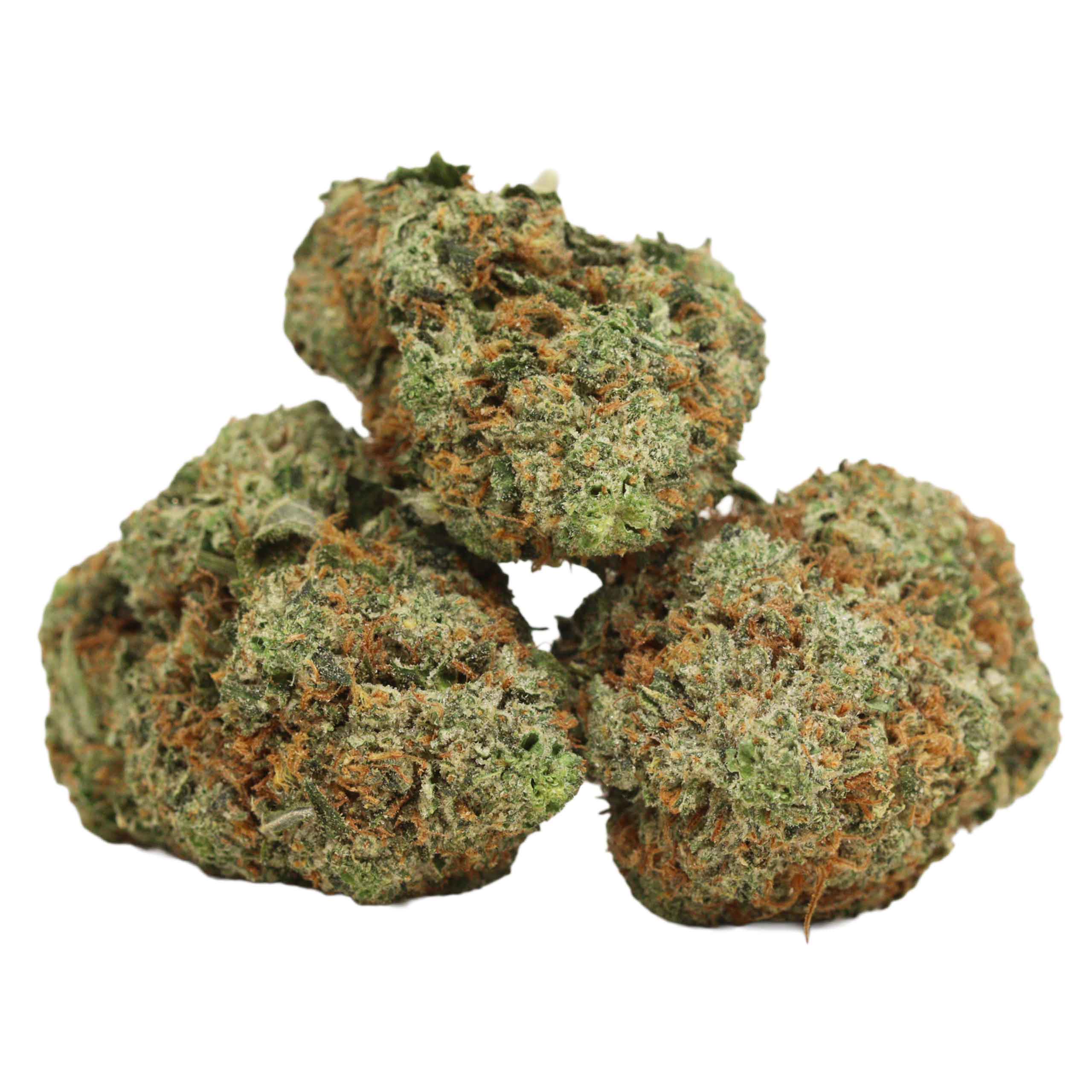 BC Pink Kush strain cannabis