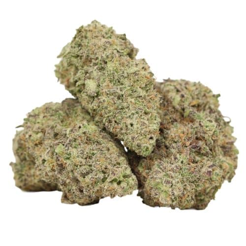 Biscotti strain cannabis