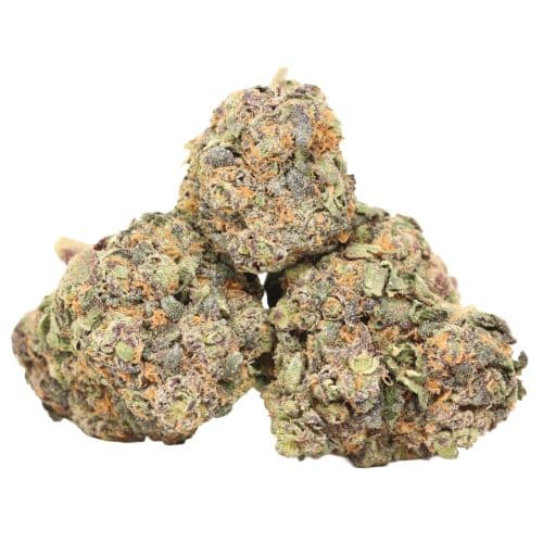 Black Cherry OG strain cannabis