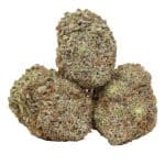 Black Kush strain cannabis