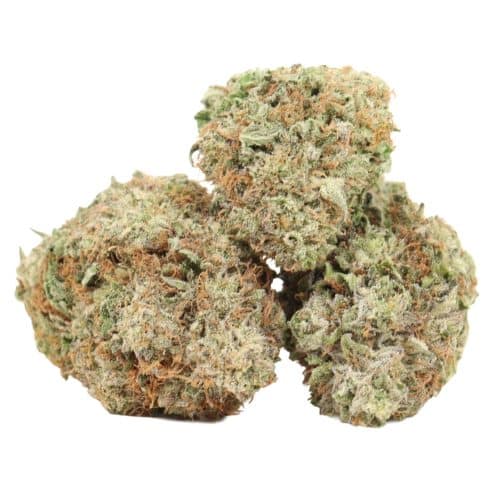 Black Mamba strain cannabis