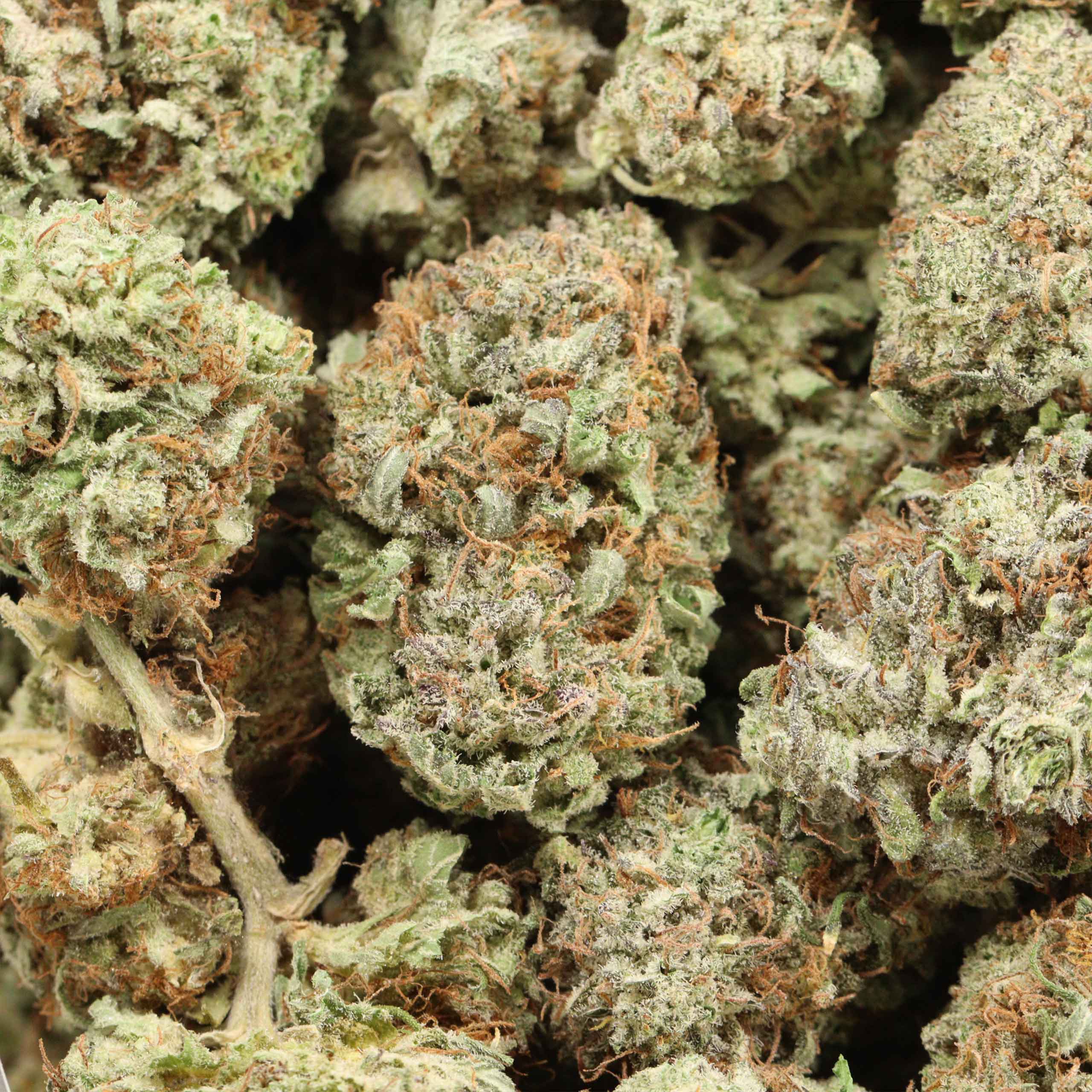 Black Mamba cannabis wholesale