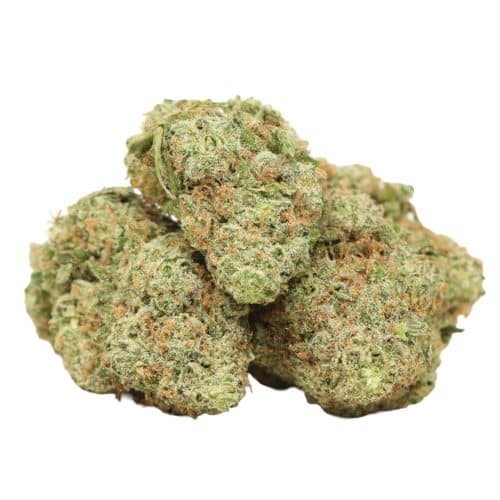 Black Nuken strain cannabis